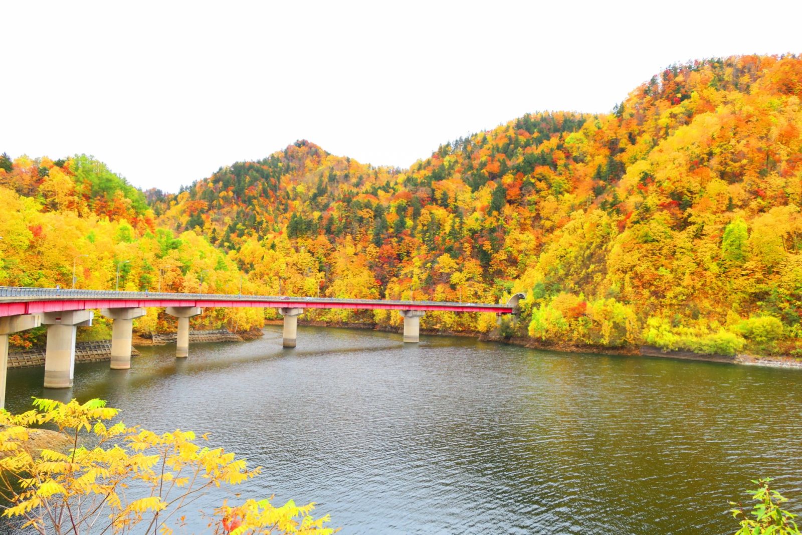 さっぽろ湖 Sapporoko レジャー 体験 北海道観光 Northsmile