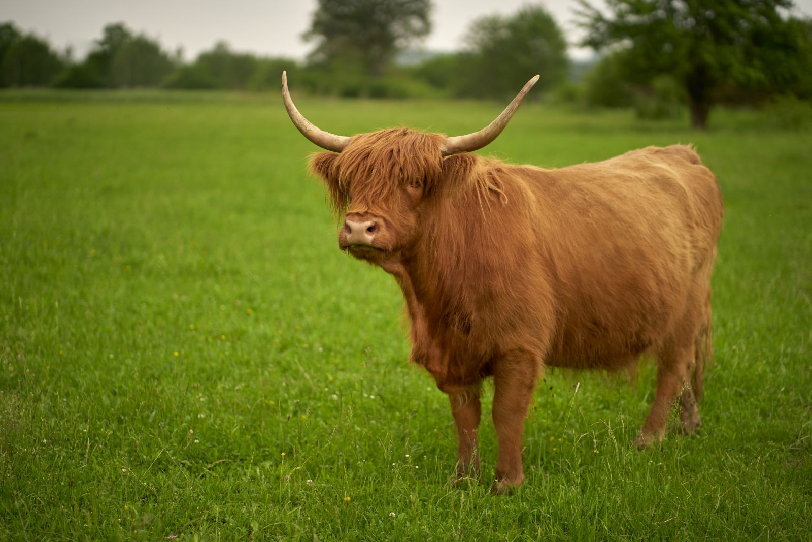えこりん村 Ekorin Village レジャー 体験 北海道観光 Northsmile
